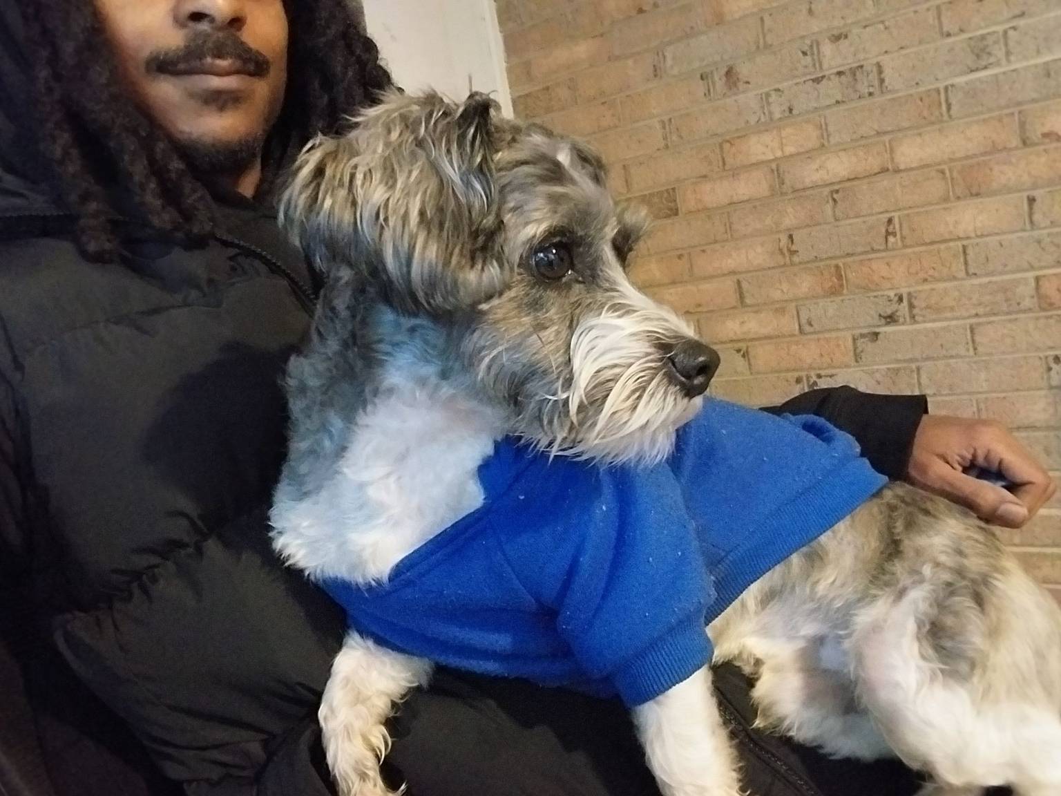 Dog receiving quality care